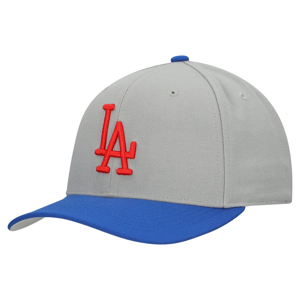  Los Angeles Dodgers Mitchell & Ness Unisex Basic Coop Pro Adjustable Hat - Gray